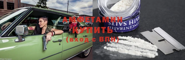 прущие грибы Бородино