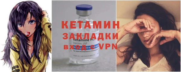 индика Бронницы