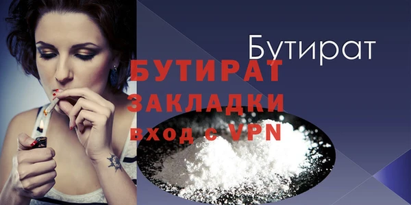 прущие грибы Бородино