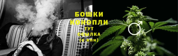 индика Бронницы