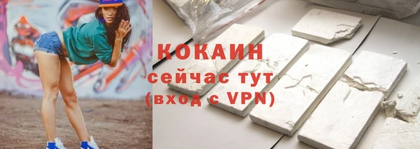 прущие грибы Бородино