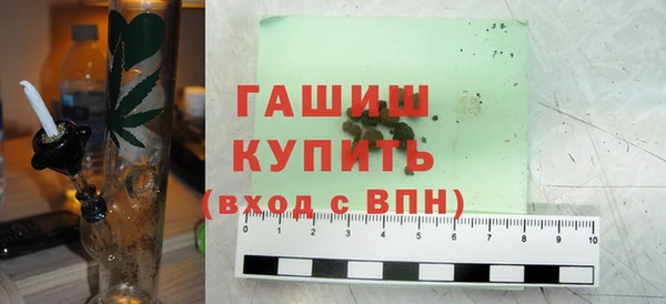 прущие грибы Бородино