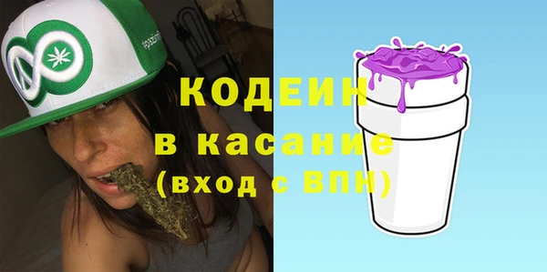 индика Бронницы