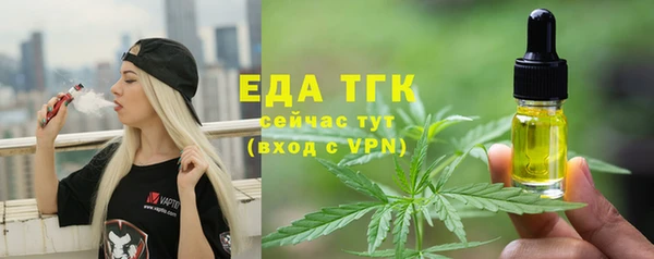 прущие грибы Бородино