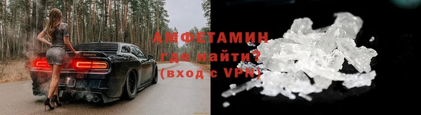 индика Бронницы