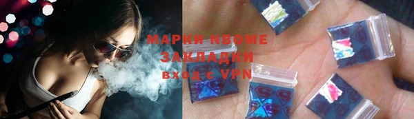 индика Бронницы