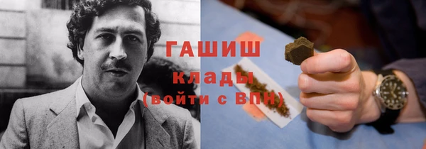 индика Бронницы