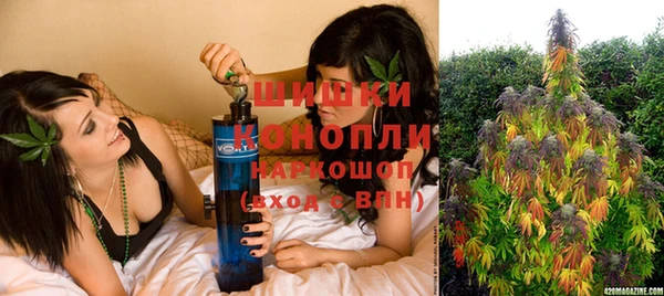 индика Бронницы