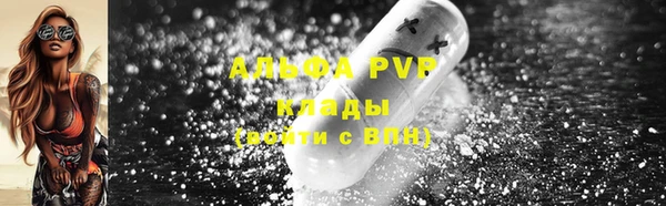 прущие грибы Бородино