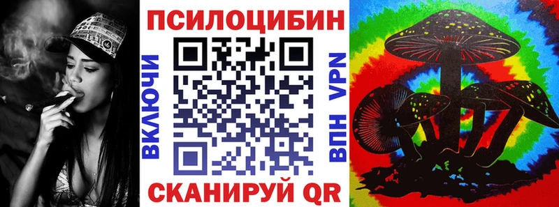 Псилоцибиновые грибы Cubensis KRAKEN ссылки Рязань